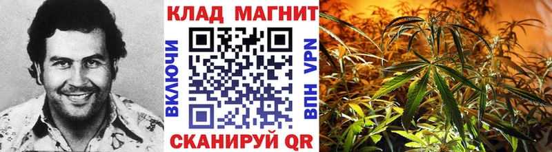 Где купить наркотики Кингисепп АМФ  APVP  ГАШИШ  Бошки Шишки 