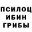 Галлюциногенные грибы GOLDEN TEACHER Dana Ticau