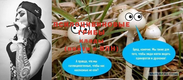 круглые Козельск