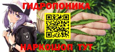 стафф Изобильный