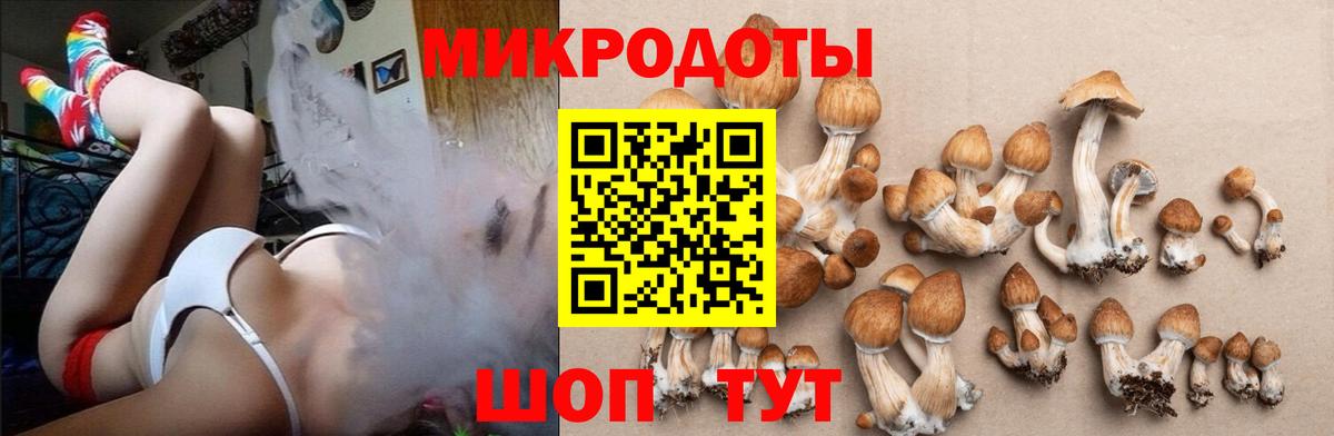 Галлюциногенные грибы мицелий Кингисепп